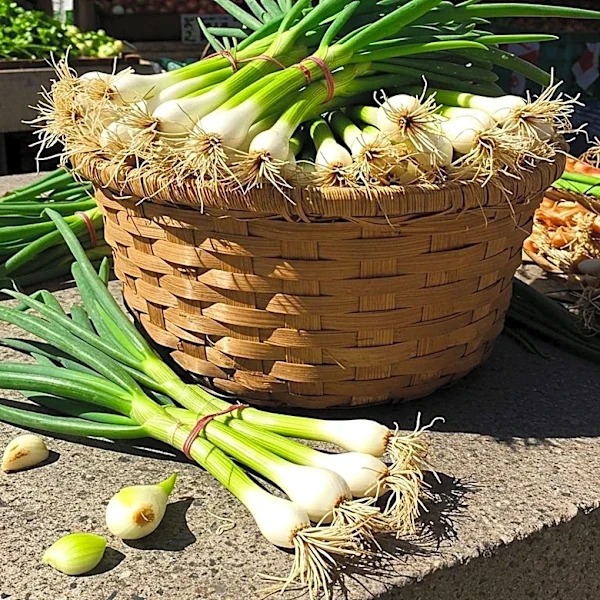 Chesterfield County Public Schools Announces Farmers Market Menu for August 5