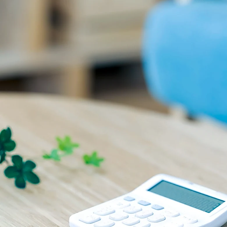 Marie Kondo Method Applied to Financial Management: A New Approach to Spending