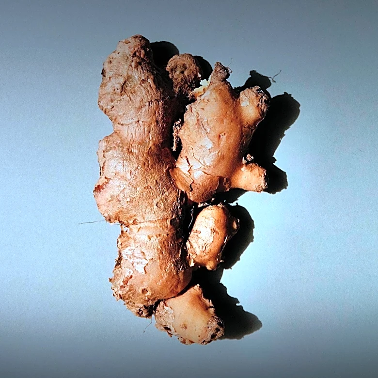 Understanding 'Ghost Poops': Indicators of Healthy Bowel Movements