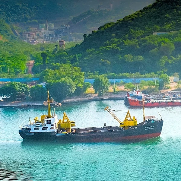 Wheat Market Faces Setback Amid Black Sea Tensions and Export Challenges