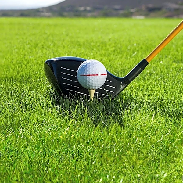 Top Fairway Woods of 2026 Highlighted for Golf Enthusiasts