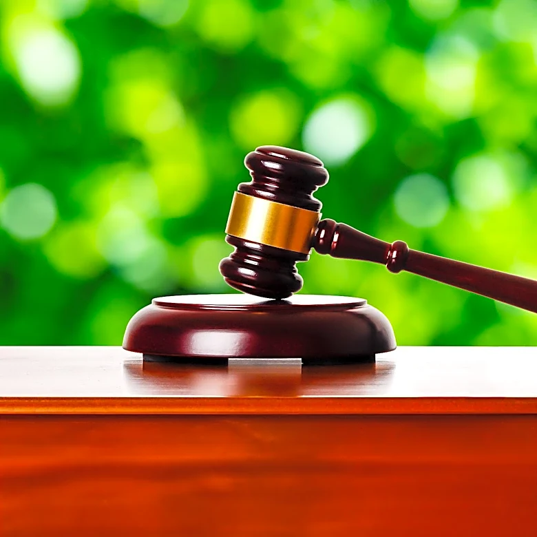California's SB 343 Faces Legal Challenge Over Greenwashing Law