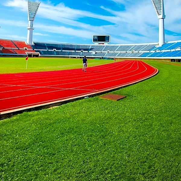 Georgia Hunter Bell Wins Commonwealth Games 800m Gold with Tactical Mastery
