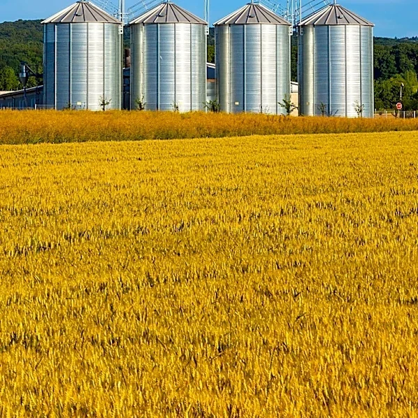 USDA Reports Slower Growth in U.S. Farmland Values for 2026