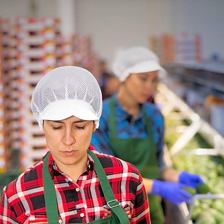 Uflex Commences Production at Mexico Plant, Targeting American Packaging Market