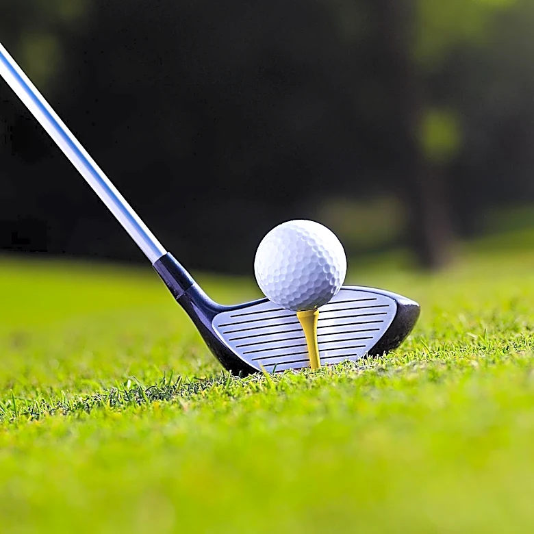 Cameron Young's Stellar Performance at Rocket Classic Puts Him in Contention