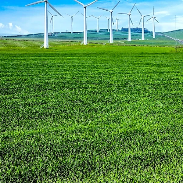 Norton Rose Fulbright Advises mBank on PLN 90.8 Million Renewable Energy Financing in Poland