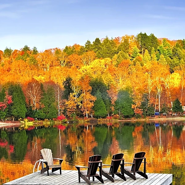 Adirondack Airbnbs Offer Diverse Nature Retreats for Travelers