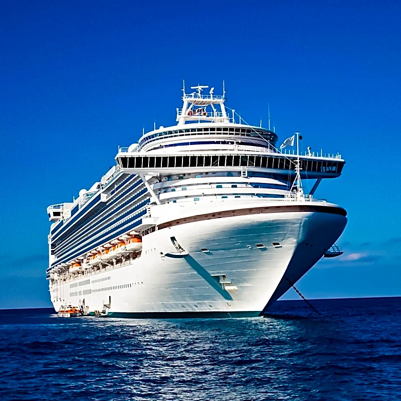 Cruise Ships Use Tenders for Port Access, Raising Accessibility Concerns