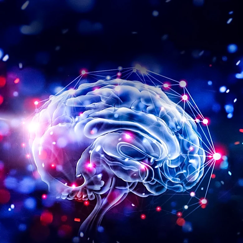 AI Grief Bots Raise Concerns Over Memory and Mourning Practices