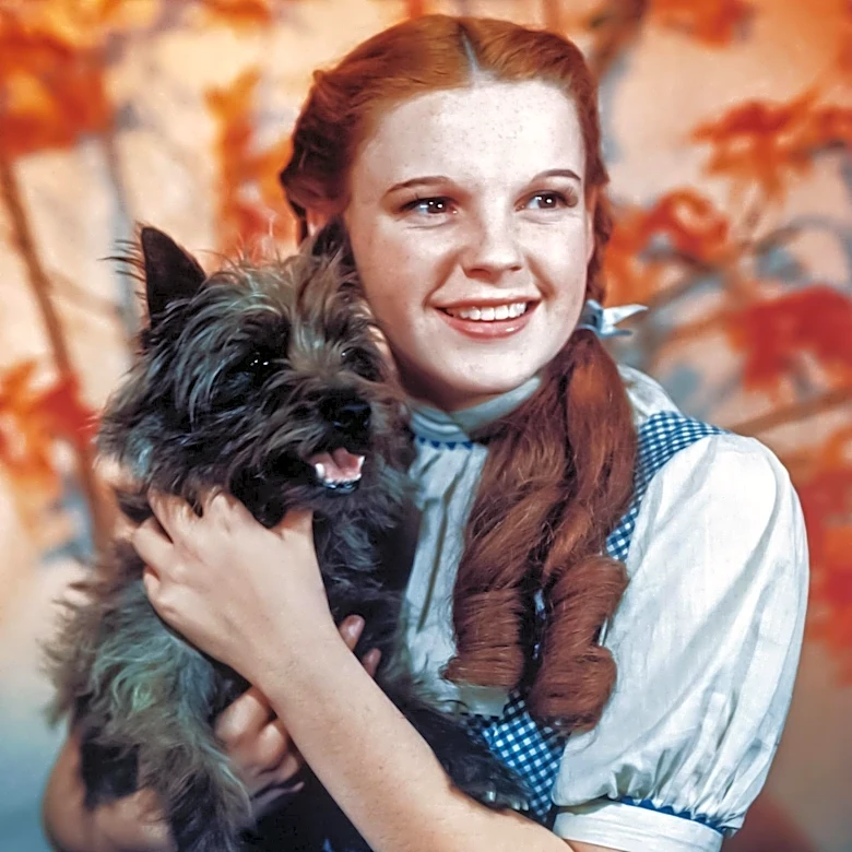 Sky Ryders Drum Corps Revives Wizard of Oz Character in National Performance
