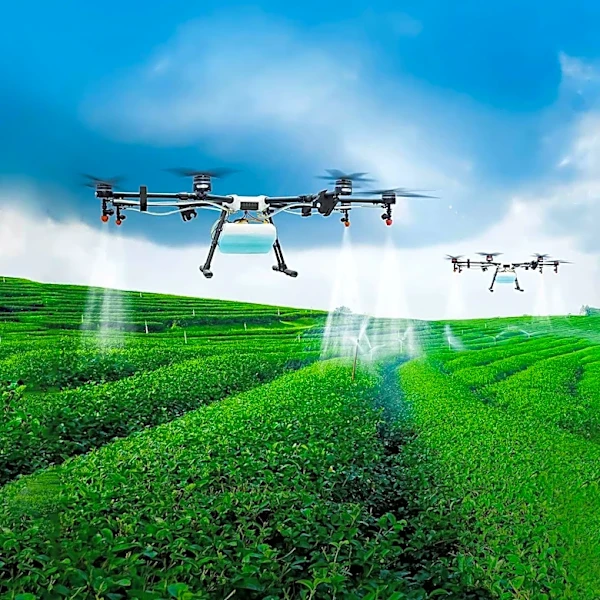 Gene Editing Revolutionizes Agricultural Efficiency and Consumer Products