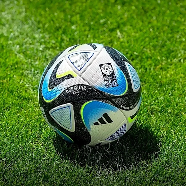 FIFA Scraps World Cup Private Equity Sale After Global Opposition