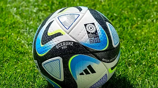 FIFA Scraps World Cup Private Equity Sale After Global Opposition
