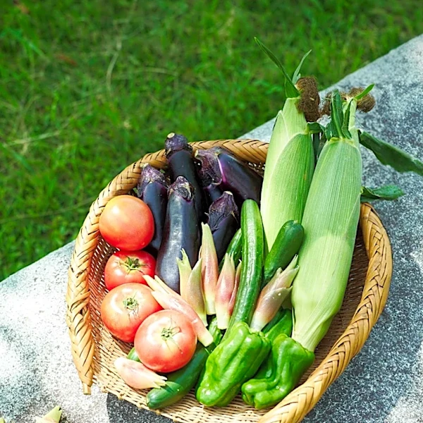 August Planting Guide: Vegetables to Sow Now for a Bountiful Fall Harvest