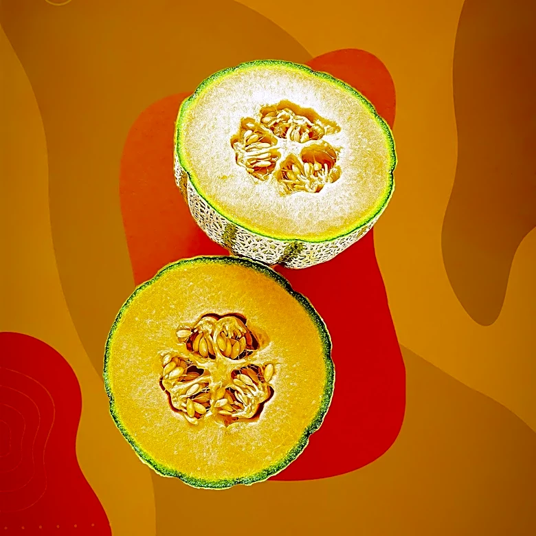 Educational Initiative: Creating a Dichotomous Key for Melons for Kids