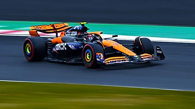 McLaren's Victory in Hungarian Grand Prix Raises Questions on Norris's Performance