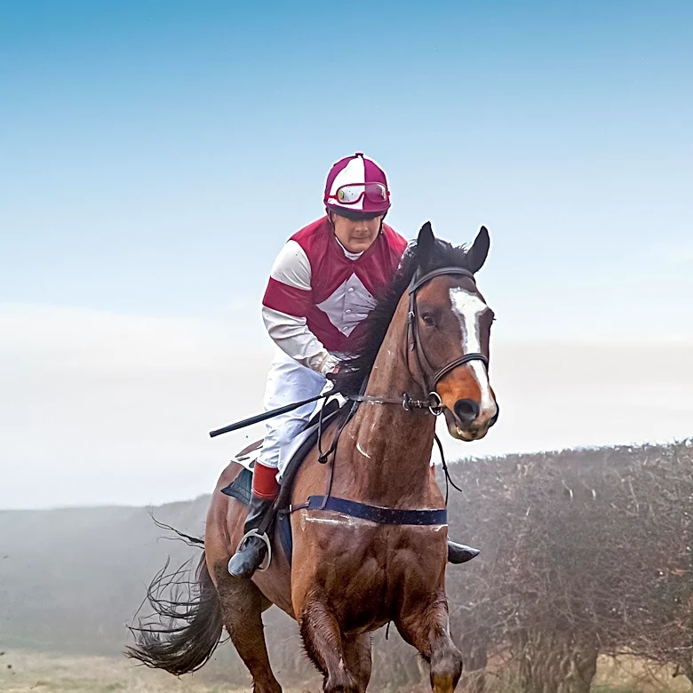 Jockey Jim Crowley Retires Due to Injury, Plans to Start Training Career