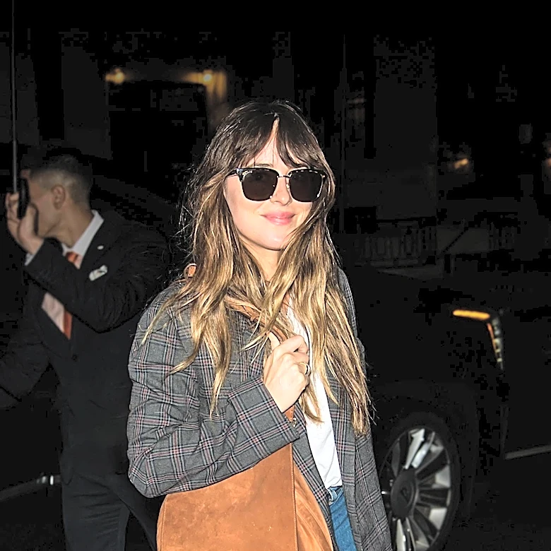 Dakota Johnson's Voice Featured in Role Model's New Song Amid Romance Speculation