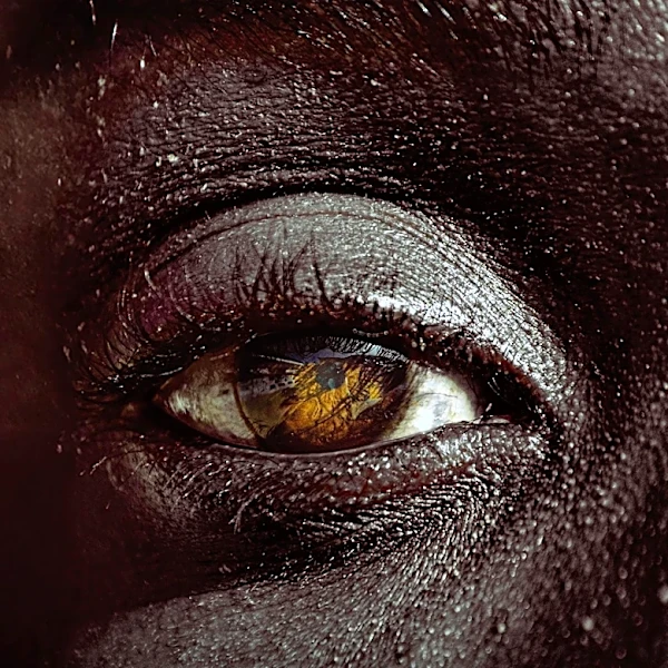 Royal Photographic Society Hosts 167th International Photography Exhibition Highlighting Diverse Themes