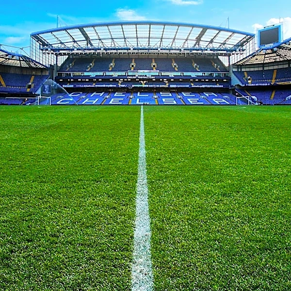 Tottenham Defeats Chelsea 2-1 in Sydney Super Cup
