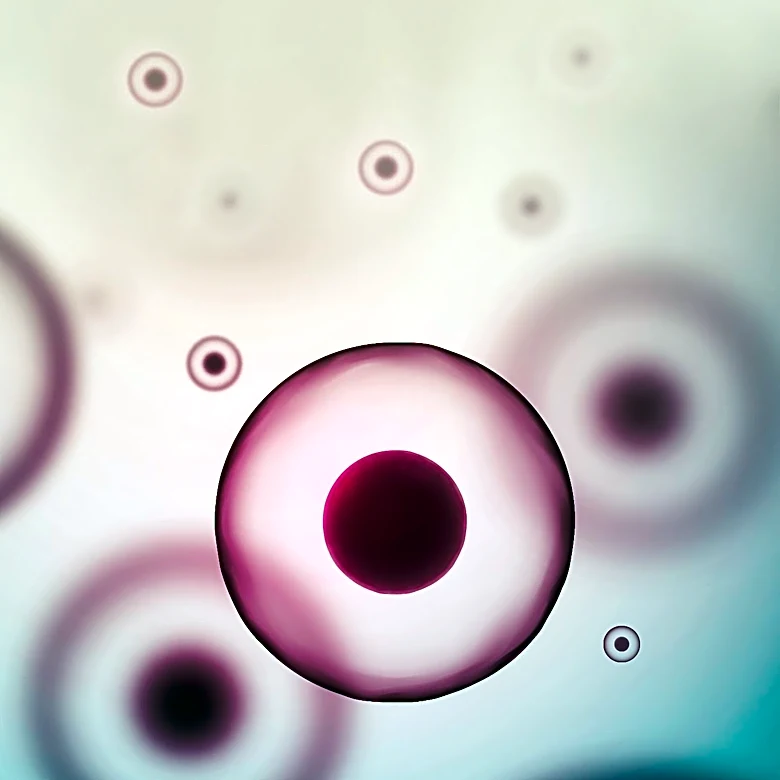 Biohacker Bryan Johnson Collects Girlfriend's Menstrual Blood for Health Research