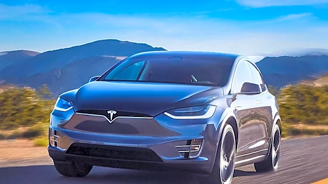 Tesla Model X Accident Highlights Vehicle's Safety Features Amid Severe Collision