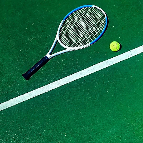 Rafa Jódar Advances to ATP Washington Semifinals, Secures Top 20 ATP Ranking