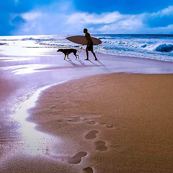 World Dog Surfing Championships in California Draws Enthusiastic Crowds
