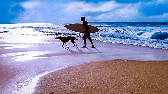 World Dog Surfing Championships in California Draws Enthusiastic Crowds