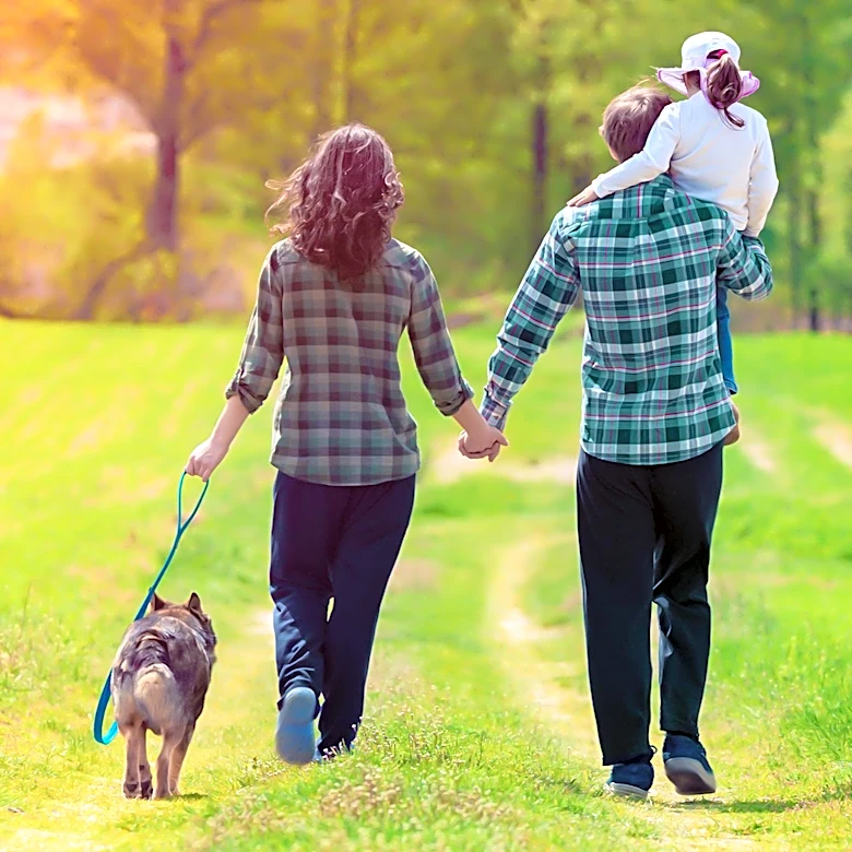 Eva Mendes and Ryan Gosling Adopt New Dog, Expanding Their Family