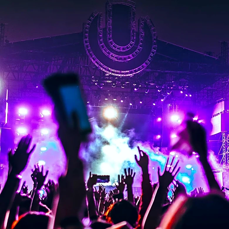 Lollapalooza Delayed Due to Heavy Rains in Chicago