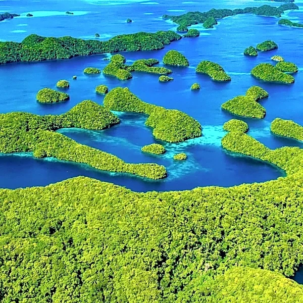 Exploring the Largest Natural Islands in the United States