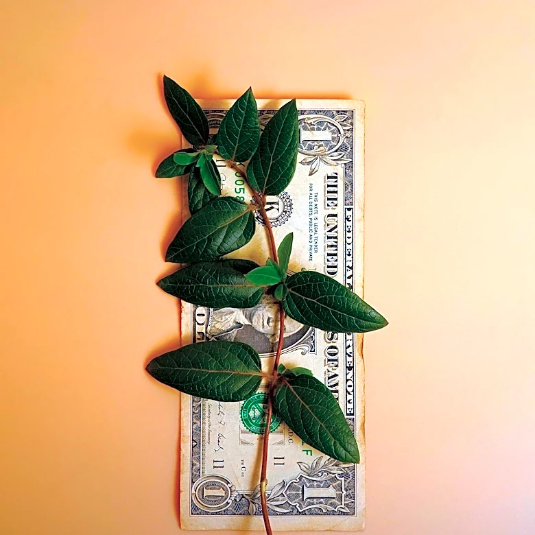 U.S. Dollar's Dominance Faces Challenges Amid Global Economic Shifts