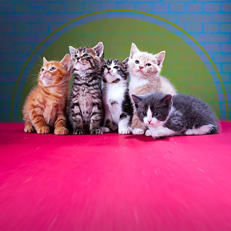 Charlie Hunnam Adopts Kittens to Cope with Role in 'Monster'