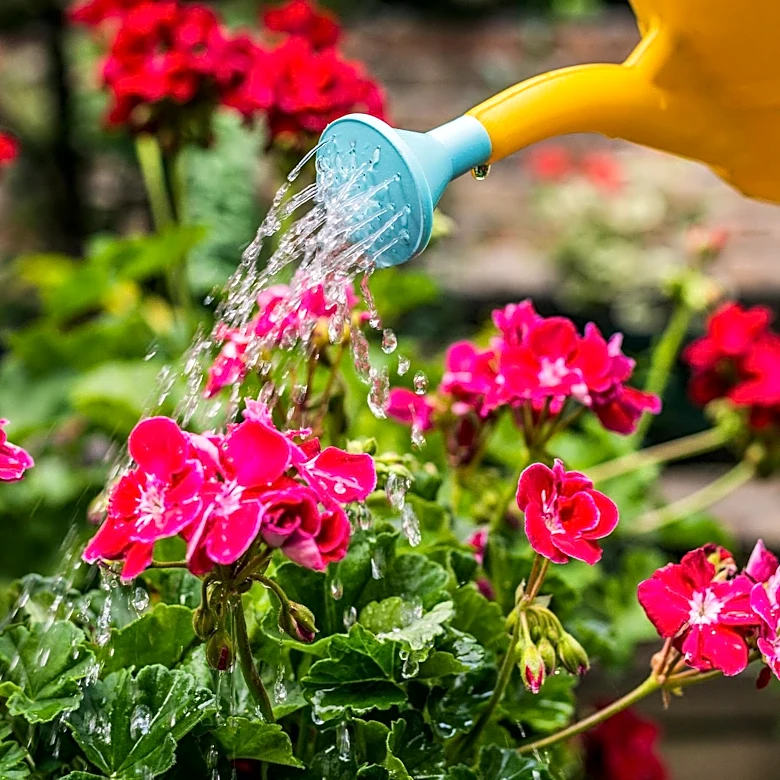Monty Don's Guide Offers Sustainable Watering Solutions Amid Drought Concerns