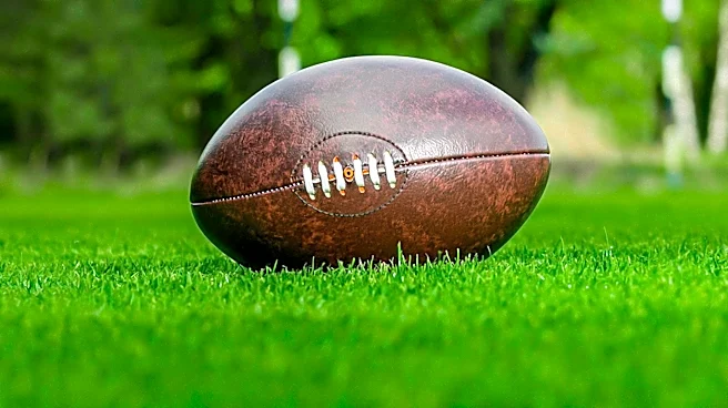 Tennessee Titans' Training Camp Sparks Fan Discussions on Team's Future