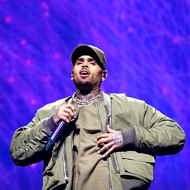 Chris Brown Seeks New Trial After $13 Million Dog Bite Verdict