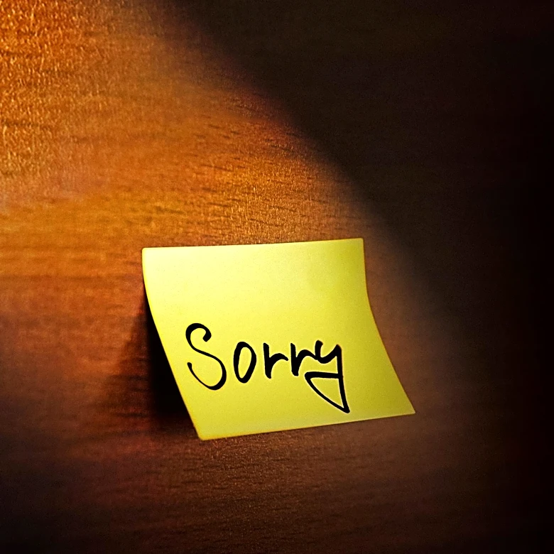 Game Developer Releases 'Apology Game' Following Steam Content Moderation Delay