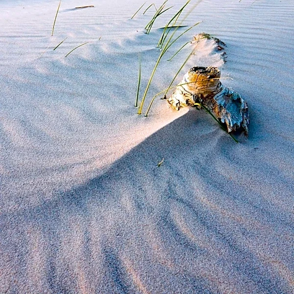 Jenness State Beach Offers a Quieter Alternative to Hampton Beach in New Hampshire