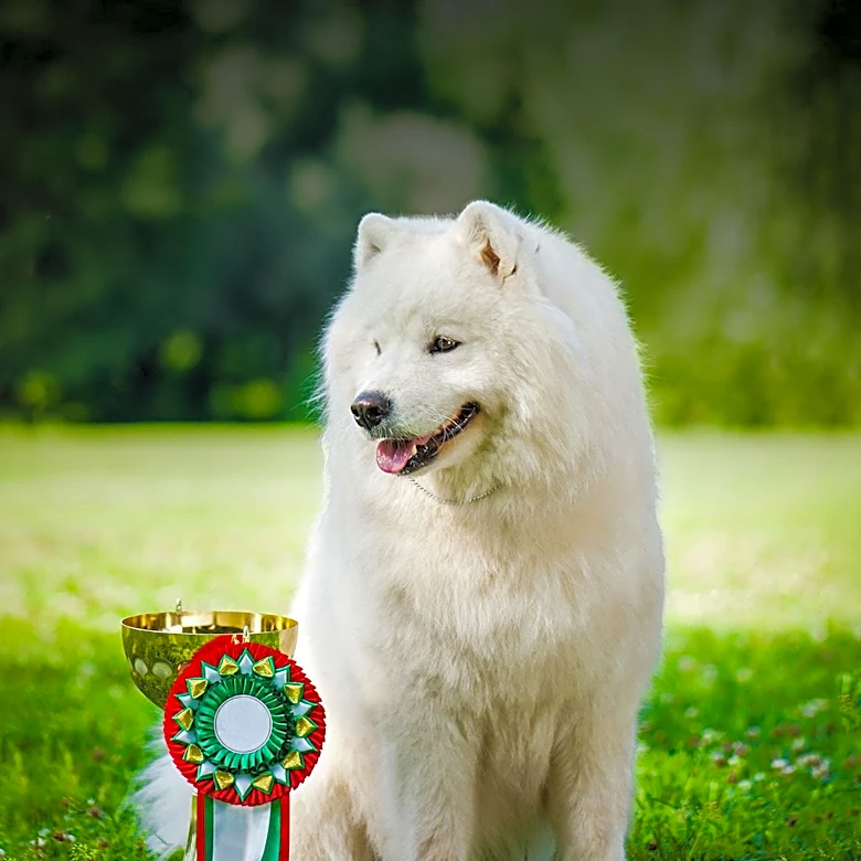 Crab Orchard Kennel Club Hosts Successful Dog Show in Marion, IL