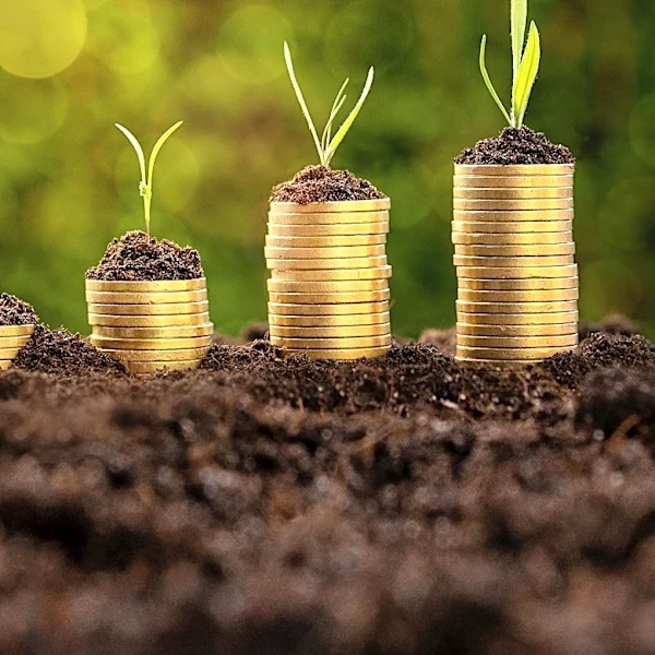 Amazon's Investment in Anthropic Boosts S 500 Profit Growth