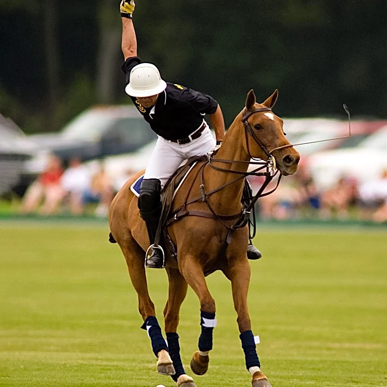 Polo Classic Event Draws Enthusiasts to Independence for Outdoor Spectacle