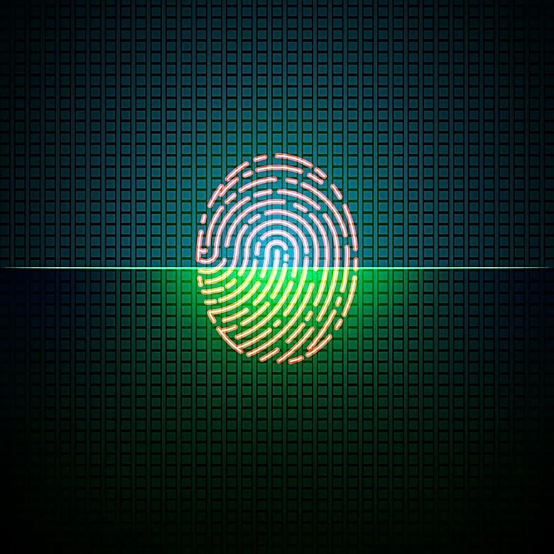 Private Sector's Role in Sustainable Digital Public Infrastructure Through Biometrics