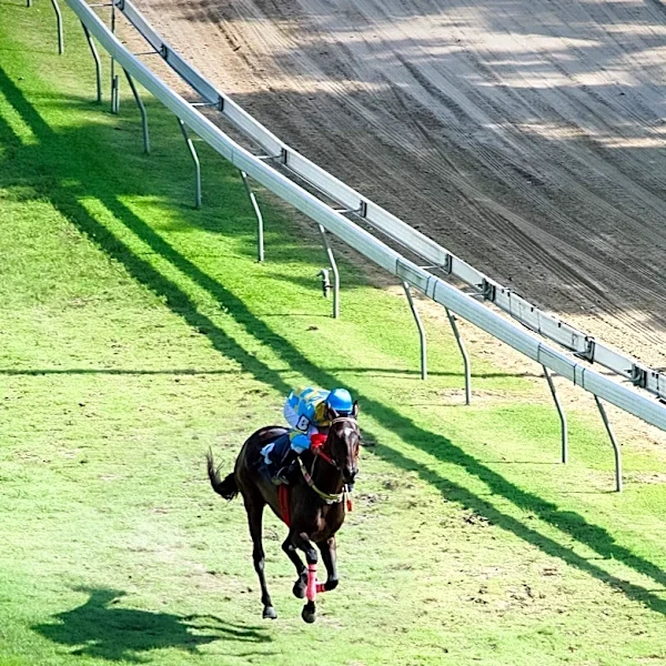 Joseph O'Brien Secures First Goodwood Festival Training Title with Four Wins