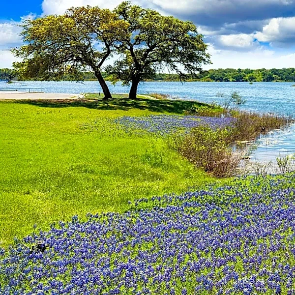 New Travel Guide Highlights Must-See Gardens Across Texas