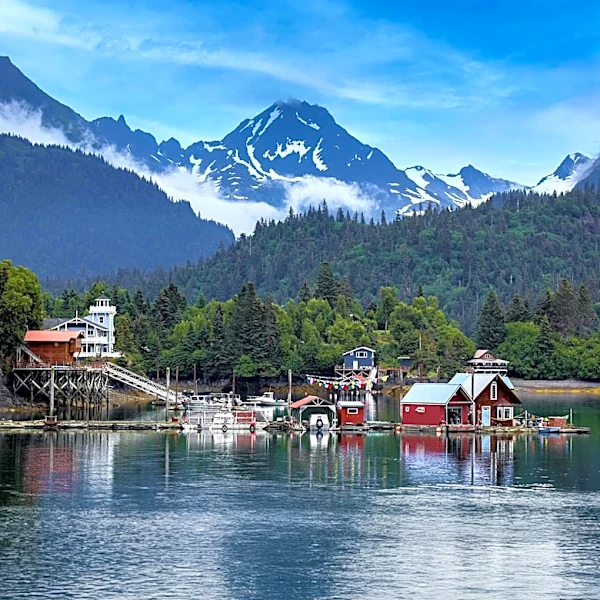 Halibut Cove: Alaska's Hidden Gem for Nature and Art Enthusiasts