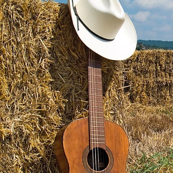 Reflecting on a Decade of Country Music: Trends and Transformations