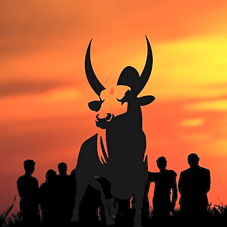 Brave Bulls Training Offers Free Obstacle Course Racing Class in Madrid