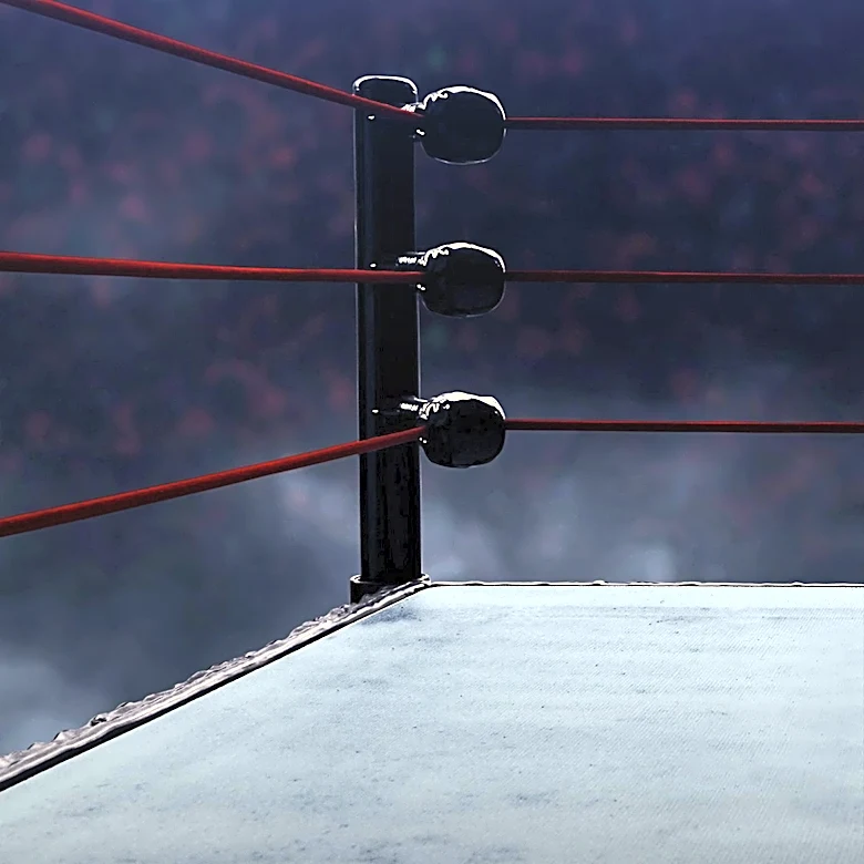 Liv Morgan Retains Title at WWE SummerSlam Despite Challenges